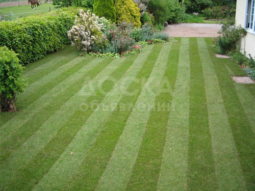 Продаем искусственный газон от 8 долларов для футбольных полей, теннисных кортов и т.д, от 8 долларов, в наличии и под заказ. Выбор огромный