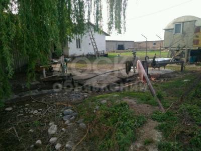 Продаю участок сельхоз назначения, 1 га Придтеченко .