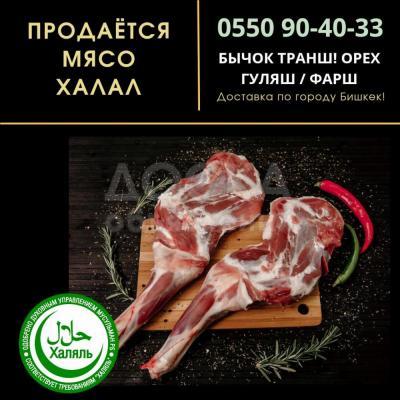 Продаётся Мясо Халал