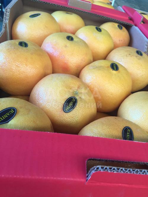 Продаем грейпфрут из Испании