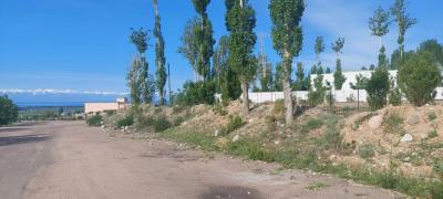 Продается яблоневый сад в г.Чолпон-Ата