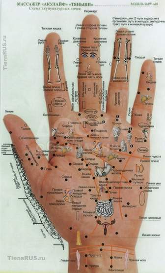 СКИДКА диагностика всего организма