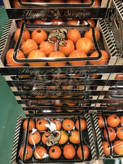 Продаем хурму из Испании