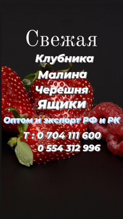 ОПТОМ! Клубника, Малина, Черешня, Ящики! Экспорт РФ, РК!