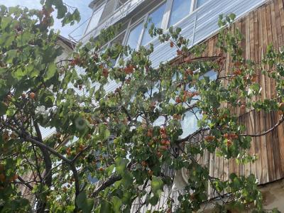 Продаю 3-комнатную квартиру, 70кв. м., этаж - 2/4, 3-й мкр .