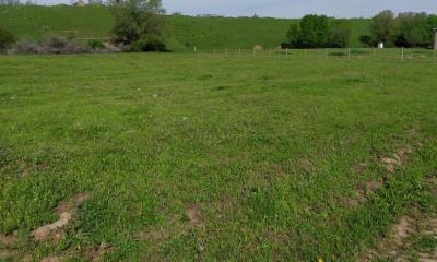 Продаю земельный участок под строительство в селе Арашан