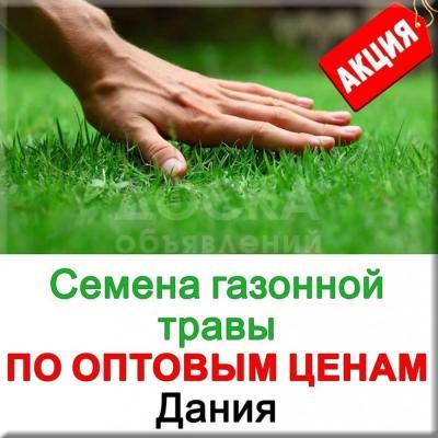 Продаю семена Европейской газонной травы и белого декоративного клевера. Производитель Дания, фирма DLF