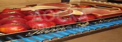 Продаем нектарин из Испании