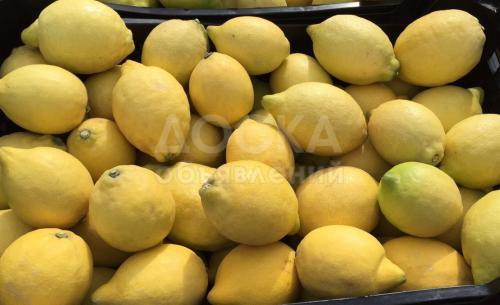 Лимоны из Испании