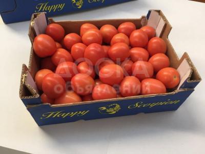 Продаем томаты из Испании