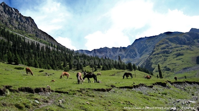 Летний детский лагерь на южном берегу Иссык Куля