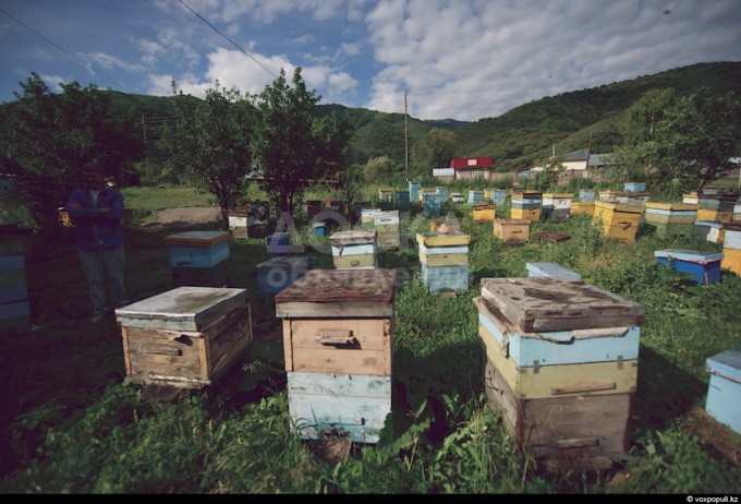 "Горный Мёд"