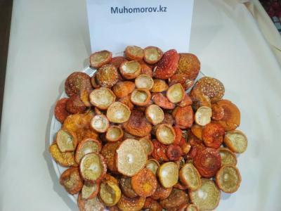 Шляпки Красного Мухомора