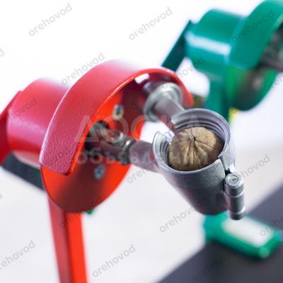 Орехокол Бабочка сталь 2