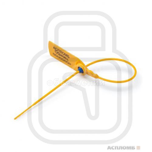 пломба бишкек (кыргызстан)