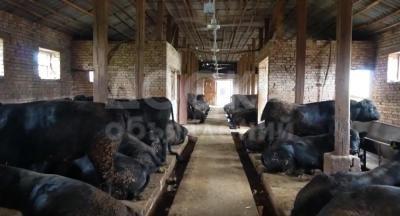 Продаю торговое помещение  648кв. м., Садовое .