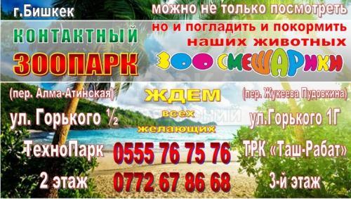 Контактный зоопарк «ЗООСМЕШАРИКИ»