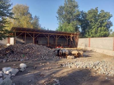 Продаю дом в селе Ленинское