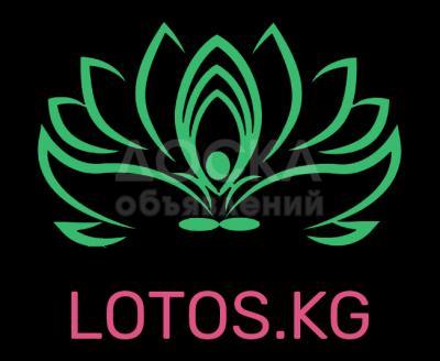 интернет магазин lotos.kg