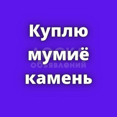 Куплю мумиё камень, по 250 сом за 1 кг