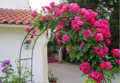 Арка садовая разборная, для вьющихся растений