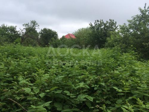 Продаю дом 3-ком., 60кв. м., этаж-1, 16-сот., стена кирпич, Репина/Баха.