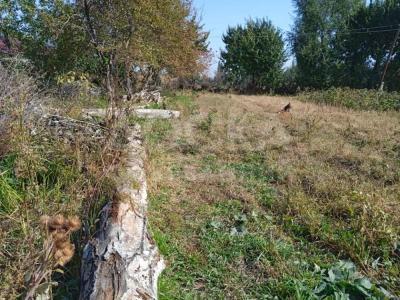 Продаю участок сельхоз назначения, 6 соток Сокулукский район.