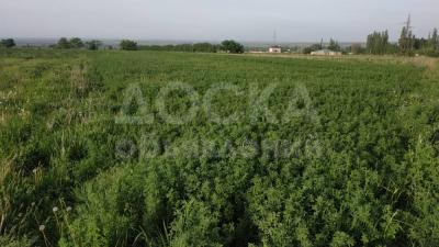 Продаю участок сельхоз назначения, 100 га Район Сокулук.