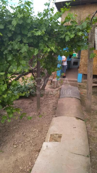 Продаю участок сельхоз назначения, 3.5 га Село Нижне-Чуйск Сокулукского района.