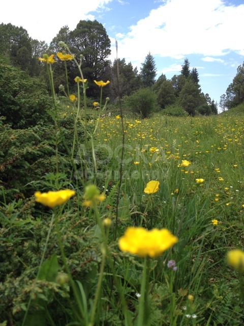 Центр отдыха Айлуу