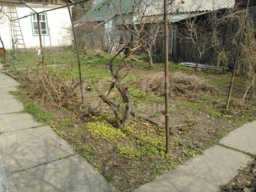 Продаю дом 5-ком., 50кв. м., этаж-1, 5-сот., стена саман, Баялинова 192.