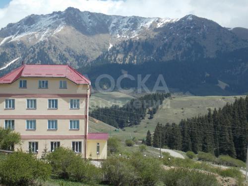 Кумысолечение