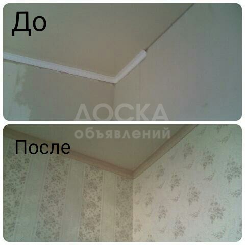 Водоэмульсия.Обои,Левкас (Шпатлёвка).Стаж 16 лет