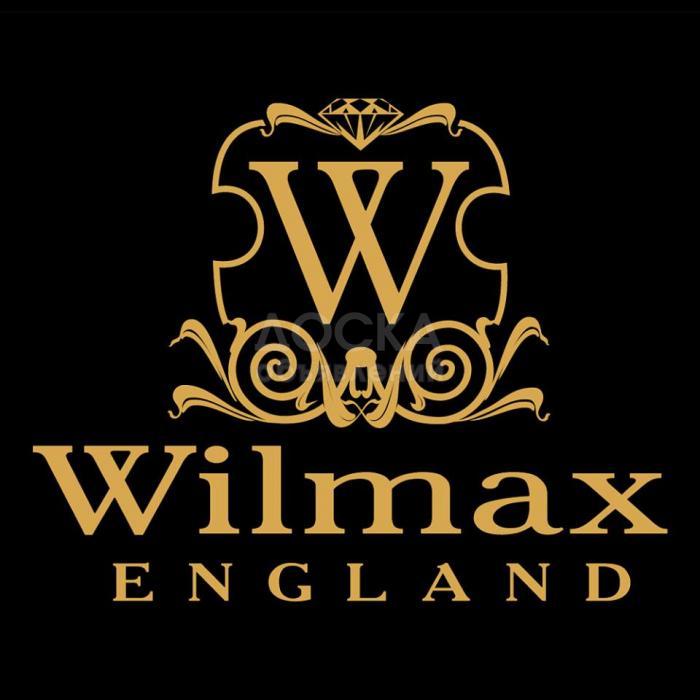 WILMAX в Кыргызстане!