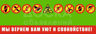 Борьба с насекомыми!, Дезинфекция, дератизация, дезинсекция!