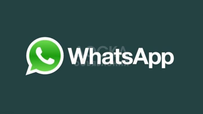 Программа для рассылки WhatsApp
