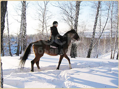 Катание на лошадях