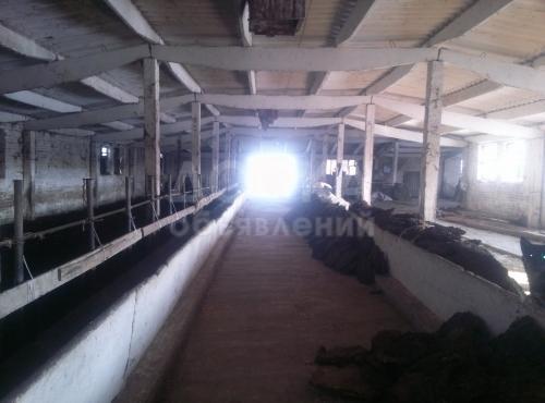 Продаю коммерческую недвижимость производственное помещение 2000м2кв. м., c.Милянфан.
