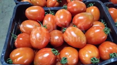 Томаты из Испании