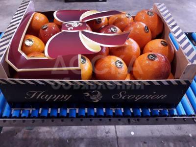 Продаем сангинели из Испании