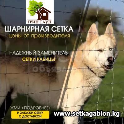 Шарнирная сетка в Бишкеке для ограждения (Лучшая замена всех сеток)