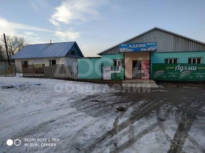 Продаю дом 1-комнатную 100кв. м., этаж-1, 19-сот., стена кирпич, Воронцовка.