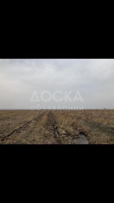 Продаю участок сельхоз назначения, 10 га Кегети.