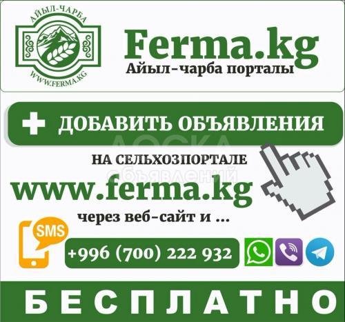 ferma.kg