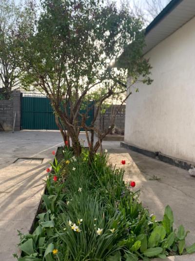 Продаю дом 5-ком. 80кв. м., этаж-1, 8-сот., стена кирпич, С.Маевка.