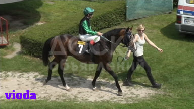 Сезон случки