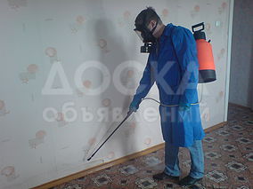 Уничтожаем постельных клопов. Обработка подвалов, производственных помещение, кабинетов, квартир, жилых домов от блох, клоп, тараканов, крыс, мышь и других насекомых. Качественно. Гарантия. Опыт работы 10 лет. Т. 890671, 0550-750671, 0771-750671, 0701-901