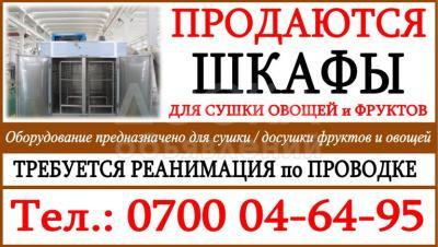 Продаю шкафы для сушки овощей и фруктов.