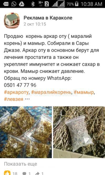 Аркар оту ( Левзея Сафловидная)