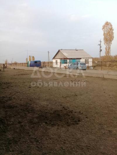 Продаю участок сельхоз назначения, 1 га Сокулукский р-н.